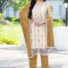 Alok Suits Zehnab