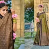 Bunawat Kantha Silk Sangam Prints Soft Silk Woven Worked Festive Saree Collection