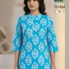 Blue Hills Roshni