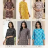 Blue Hills Roshni