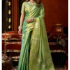 Gobuni Supriya Tissue Silk with Fancy Worked Saree Collection