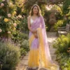 Kc 883 Pixel Crush Cutdana Sequence Worked Beautiful Saree Collection
