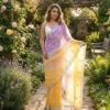 Kc 883 Pixel Crush Cutdana Sequence Worked Beautiful Saree Collection
