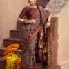Kreshva Tapasya Sigma Silk Patola Saree Collection