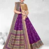 Premier Saravani Vol 24