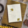 Sccf Boom X Khadi Cotton Fancy Saree Collection