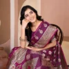 Sf Silk Vol 2 Banarasi Silk Festival Wear Saree Collection