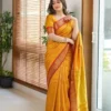 Aab Checks Vol 1 Soft Silk Zari Saree Collection