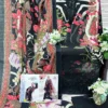 Aasha Designer D No 1213