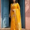 Ast Kanchipuram Soft Silk Festival Saree Collection