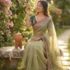 Kc 847 Banarasi Crush Sequence Worked Beautiful Saree Collection