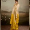 Sethnic Ombrea Soft Glam Chiffon Zari Woven Worked Saree Collection