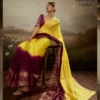 Sethnic Ombrea Soft Glam Chiffon Zari Woven Worked Saree Collection