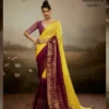 Sethnic Ombrea Soft Glam Chiffon Zari Woven Worked Saree Collection